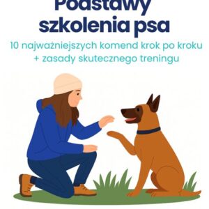 Podstawy szkolenia psa, 10 najważniejszych komend krok po kroku